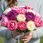 25 Tulip Bulbs for Spring Planting, Large Tulip Bulbs for Fall Planting, Flower Bulbs Garden Indoor Outdoor (Mix Double)
