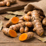 Set 3 Yellow Turmeric Plants Live 4-7 Inches Tall, Fresh Turmeric Roots Plants for Garden, Patio Pots and Indoor Use
