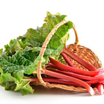3 Victoria Rhubarb Crowns, Live Rhubarb Root for Planting, Hardy Perennial Vegetable Rootstock for Outdoor Gardens