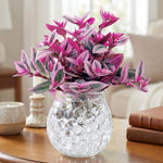 Pink Wandering Jew Plant Live, Tradescantia Pink Plant, Vibrant Foliage Houseplant, 4-7 Inches Tall in 3.25 Inch Pot for Indoor Planting