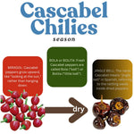 Pack 2 Cascabel Chillies Pepper Plants, Live Chocolate Cascabel Pepper Plants, 80 Days Old Plants in 4 in Pot