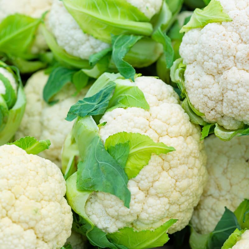 Cauliflower Plant Live in 4'' Pot, Cauliflower Vegetables Ready to Grow, Starter Plants 4-6 Inch Tall, 2 Plants per Pot