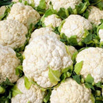 Cauliflower Plant Live, 4 to 6 Inc Tall in Height, Live Cauliflower Plant Gardening, 4 Inc Potted Vegetable Plant Live Planting