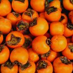 2 Live Persimmon Trees Bare Roots, Cold Hardy Persimmon Tree Live Plant, Size Plant 6-10 Inches, 2 Bare Roots Fruit Garden