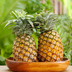 4 Gold Pineapple Trees Live Plants, Sweet Pineapple Fruit Plant Live 5 to 8 Inc Height, Tropical Pineapple for Outdoor