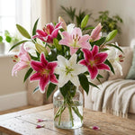Pack of 4 Mix Lily Bulbs for Planting, Bright Sunny Blooms, Summer Flowering Perennial Garden Flowers, Lily Bulbs for Containers and Outdoor Garden