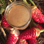 10 Awapuhi Shampoo Ginger Live Plant Rhizomes, Fresh Red Ginger Rhizomes Roots, Pinecone Zingiber Zerumbet Hawaiian Ginger Lily for Zones 8-11