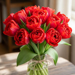 25 Tulip Bulbs for Spring Planting, Red Tulip Bulbs for Fall Planting, Flower Bulbs Growing