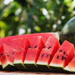 4 Live Watermelon Plants, 4 Inches Tall, Watermelon Plant Live Pot, Live Red Watermelon Plants for Gardening Indoor Outdoor