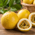 Yellow Passionfruit Plant Live 4-7 Inches Tall, Tropical Passion Fruit Vine for Garden, Patio Containers and Indoor Growing