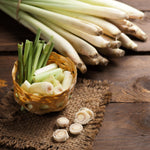 Set 8 of Lemongrass Plants Live, Lemongrass Live Plants for Planting Garden Herbs Stalks from 4 to 7 Inc in Height