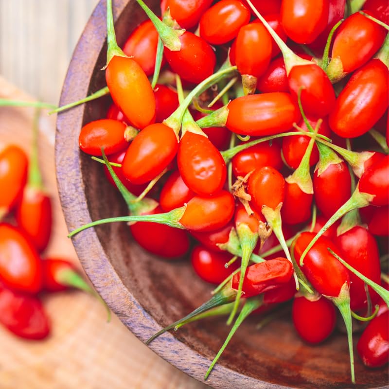 Pack 2 Red Goji Berry Plants Live, Sweet Goji Berry Perennial Garden Simple to Grow, Berry Fruit Tree for Gardening