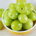 Gooseberry Plant Live for Planting, Gooseberry Bushes Live Plant, 5 to 10 Inc Tall (Green)