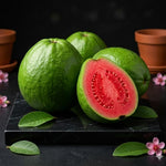 Pink Guava Tree Live Plant, 6-11'' Tall, Guava Plant Live, Sweet Fruit Cold Hardy Garden Backyard Orchards