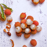Lychee Plant Live Seedling from 5 to 8 Inc Tall, Lychee Tree Plant Seedling, Sweet Fruit Garden