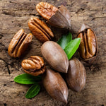 Set 4 Pecan Tree Bare Roots 12-18 Inches, Ready to Grow Pecan Plant Live, Dormant, Hardy, Outdoor Garden Planting