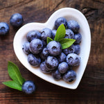 2 Blueberry Trees Live Plant for Planting, 5-10" Tall, Blueberry Plant Live, Sweet Blueberry Bush Live Plant, Large Blueberries Fruit Bareroot (Biloxi Blueberry)