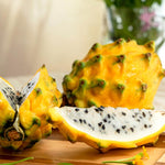 2 Dragon Fruit Plants Live, Live Yellow Dragon Fruit Plant, 4 to 7 Inches Tall, Sweet Fruit Plant, Dragon Fruit Live Plant, Dragon Fruit Starter Plant, Dragon Fruit Well Rooted