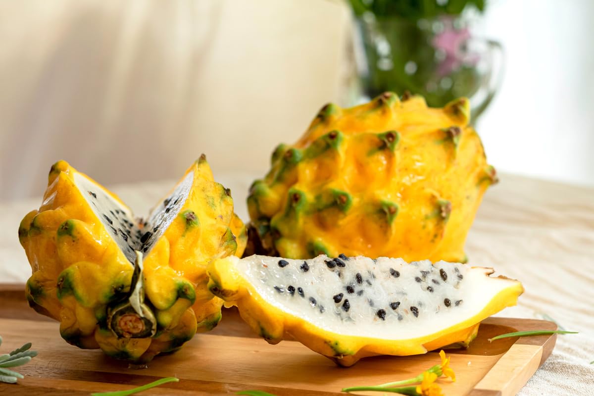 2 Dragon Fruit Plants Live, Live Yellow Dragon Fruit Plant, 4 to 7 Inches Tall, Sweet Fruit Plant, Dragon Fruit Live Plant, Dragon Fruit Starter Plant, Dragon Fruit Well Rooted