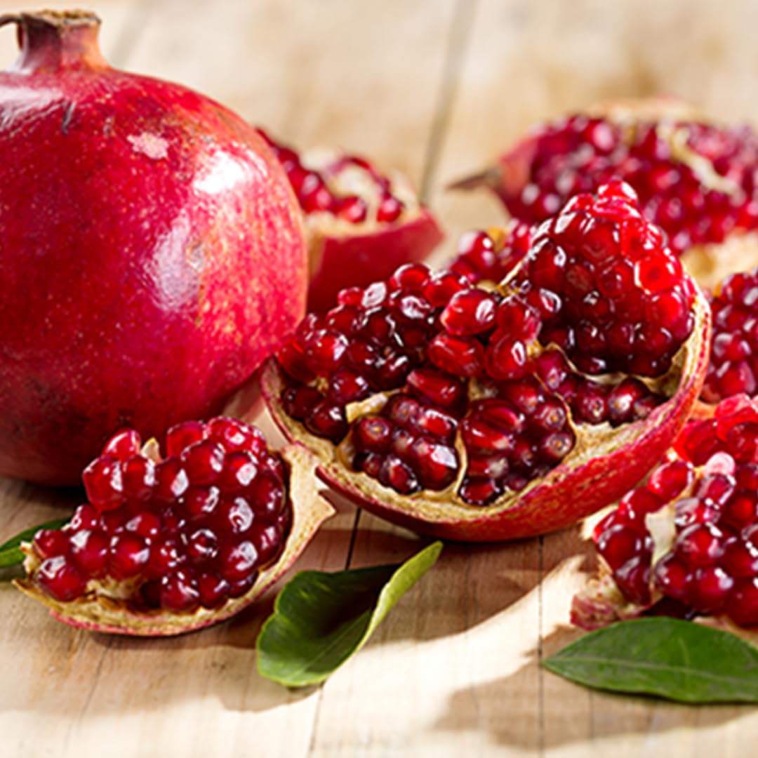 Live Pomegranate Plant, 5–8 Inch Seedling for Garden and Outdoor Growing, Pomegranate Tree for Spring Planting