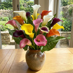 Calla Lily Bulbs for Planting, Calla Lily Bulbs, Vibrant Summer Blooming Flowers for Garden and Patio Planting (Mix Calla Lily Bulbs (Set 4))