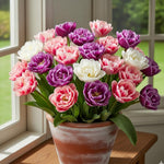 25 Tulip Bulbs for Spring Planting, Large Tulip Bulbs for Fall Planting, Flower Bulbs Garden Indoor Outdoor (Mix Double)