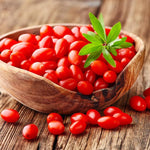 3 Red Goji Berry Plants Live 4 to 8 Inch Tall, Sweet Goji Berry Trees Perennial Garden Simple to Grow, Berry Fruit Tree