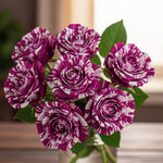 White Purple Climbing Rose Live Plant, 6 Months Old Starter, Fragrant Purple Climbing Roses for Planting Outdoor, No Pot