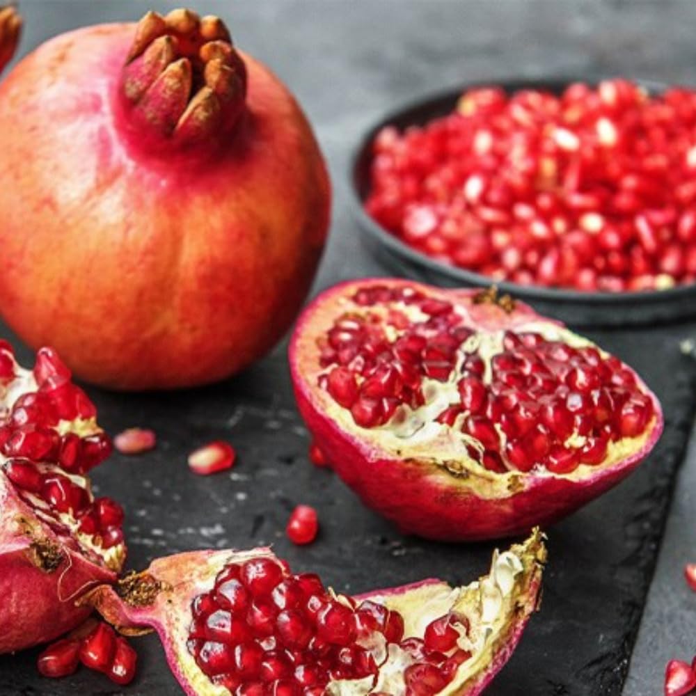 Salavatski Pomegranate Tree Live Plant, Hardy Pomegranate Fruit Tree for Outdoor Indoor Planting, Sweet Pomegranate Plant, Well-Rooted, 4 Inches Pot Plant, 7-10 Inches Tall