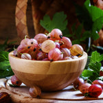 Sweet Gooseberry Plant Live for Planting, 6-10 Inch Tall, Gooseberry Bush Live Plant, Gooseberry Fruit Tree Plant, Gooseberry Bareroot, Gooseberry Tree