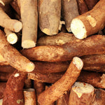 Yuca Cassava Plant Live in Pot, Grown from Cuttings for Planting, Sweet Manihot Root, Very Fast Growing 6-10 Inc in Tall, Easy to Roots