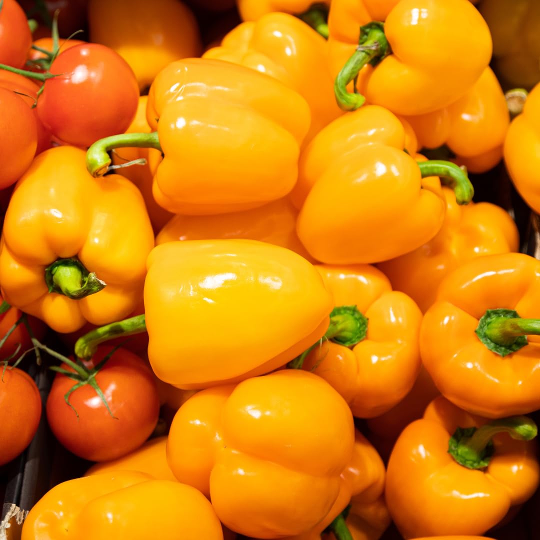 Set 6 Hot Pepper Live Plants, 90 Days Old Live Pepper Chili Plant for Spring Planting (Habanero Orange)