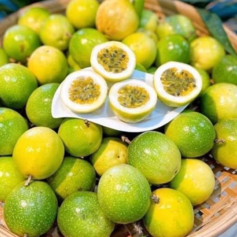 Yellow Passion Fruit Vine Plant Live, Perennial Tropical Fruit Tree for Garden or Trellis, 5-10 Inches Tall