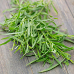 2 Tarragon Plants Live, French Tarragon Starter for Growing, Culinary, Garden 4 to 6 Inches