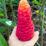 10 Awapuhi Shampoo Ginger Live Plant Rhizomes, Fresh Red Ginger Rhizomes Roots, Pinecone Zingiber Zerumbet Hawaiian Ginger Lily for Zones 8-11