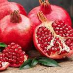 Wonderful Pomegranate Tree Live Plant, Hardy Pomegranate Fruit Tree for Outdoor Indoor Planting, Sweet Pomegranate Plant, Well-Rooted, 4 Inches Pot Plant, 7-10 Inches Tall