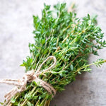 English Thyme Live Plant, 3-6 Inch Tall, Thyme Herb Plant for Outdoor Garden and Indoor Container Growing, Fragrant Herb Plant, No Pot Included