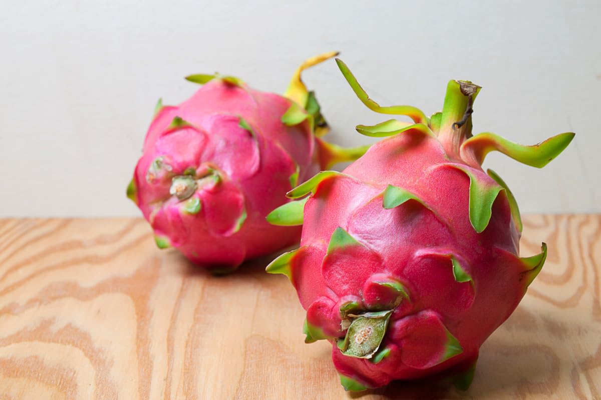 Dragon Fruit Plant Live, Red Dragon Fruit Plant Pot, 3 Gallon Pot, Live Dragon Fruit Plant, 2 to 3 Feet Tall, Dragon Fruit Live Plant, Sweet Fruit Plant