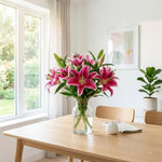 Pack of 3 Pink Lily Bulbs for Planting, Size XL, Bright Sunny Blooms, Summer Flowering Perennial Garden Flowers, Lily Bulbs for Containers and Outdoor Garden