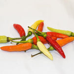 Red Pepper Plants Live, Hot Pepper Seedling from 4 to 7 Inches Tall, Easy for Planting Year-Round, 2 Plant Per Pot, Zones 9-11
