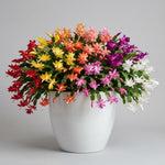 Christmas Cactus Plant, Thanksgiving Cactus in 4” Pot, Colorful Holiday Blooms, Indoor Gardens Growing (Random Color Christmas Cactus)