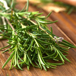2 Rosemary Plants Live, 4 to 7 Inc in Height, Rosemary Plant Pot 4 Inc, Live Rosemary Plant Indoor Outdoor