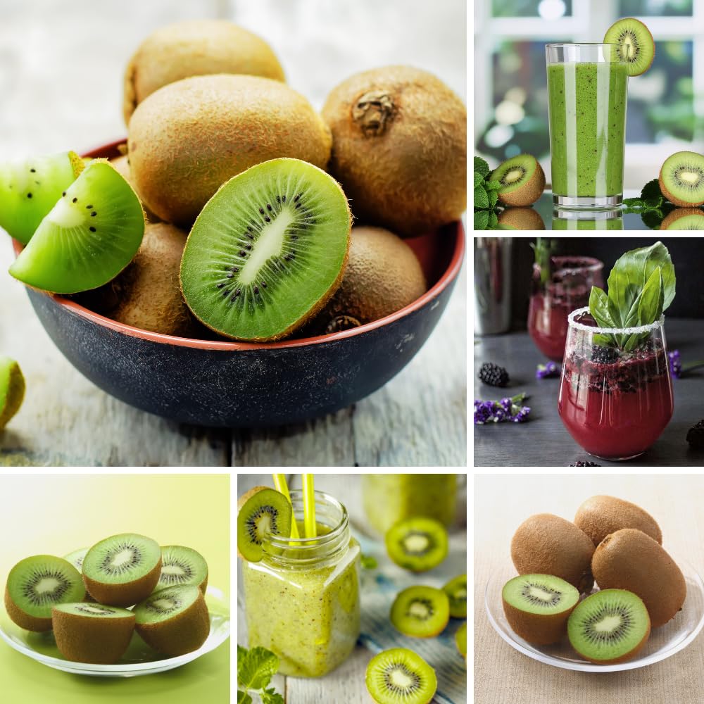 Kiwi Vine Live Plant, Hardy Kiwi Live Plants, 6-8 Inches Tall, Fruit Vine Starters for Easy Garden Growing