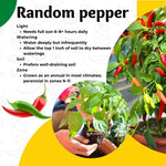 Mix Pepper Plants Live for Planting, in 4" Pot, Hot Chili Pepper for Indoor and Outdoor Growing