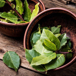 Laurus Nobilis Bay Leaf Tree Live Plant, 4-8 Inch Height, Sweet Bay Green Foliage for Outdoor Displays