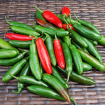 Serrano Pepper Plants Live for Planting, in 4" Pot, Hot Chili Pepper for Indoor and Outdoor Growing