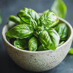 Basil Live Plant in 4″ Pot, Fresh Culinary Herb for Garden and Patio, Indoor Outdoor Growing (Sweet Basil)