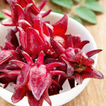 Live Roselle Plant in Half Gallon Pot, Flowering Edible Hibiscus Shrub, Well Rooted Hibiscus Sabdariffa for Garden and Container