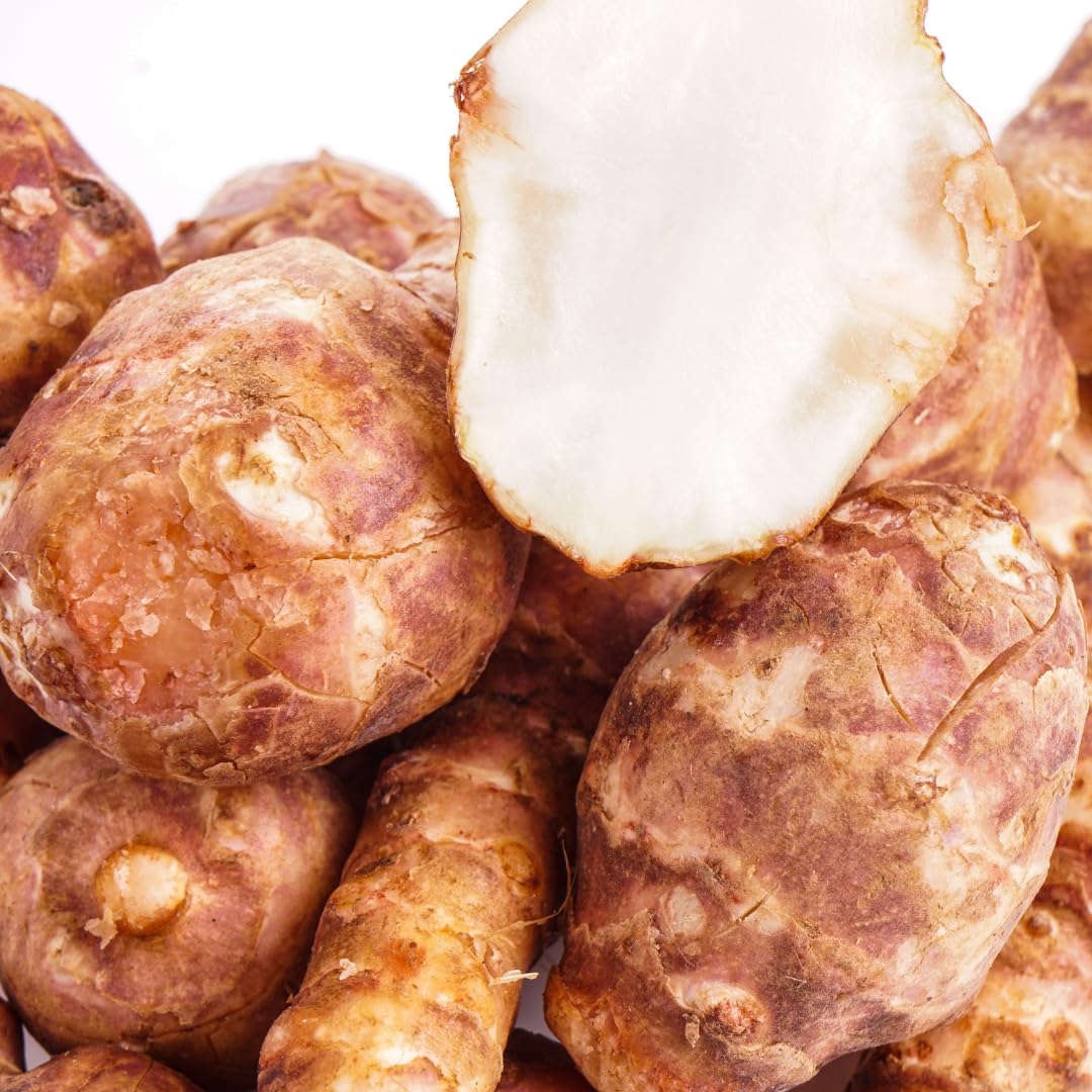 3 Large Live Jerusalem Artichoke Tubers Sunchokes Sunroots Fresh Rhizomes for Outdoor Planting, Winter Hardy, High Yield