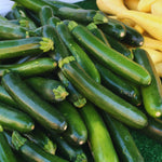 2 Live Zucchini Plants, Summer Squash Plants Live, Vegetable Plant Seedlings for Home Garden, Backyard Garden, Outdoor Planting, 4–6 Inches in Height (Green)